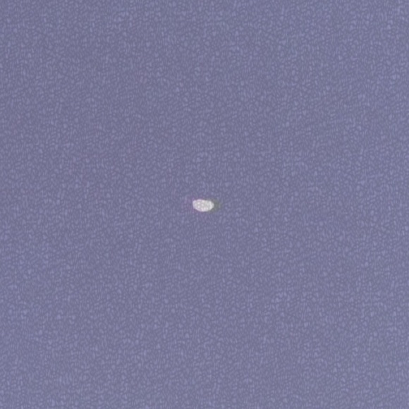 Meet your Posher, Caleb - Picture 1 of 1